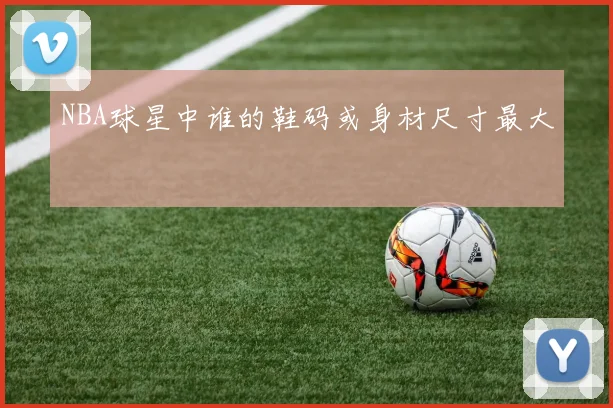 NBA球星中谁的鞋码或身材尺寸最大