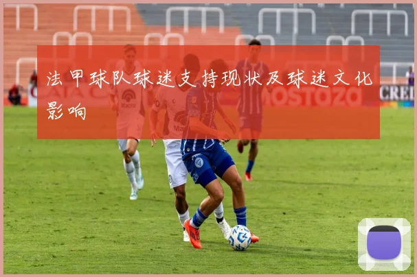 法甲球队球迷支持现状及球迷文化影响