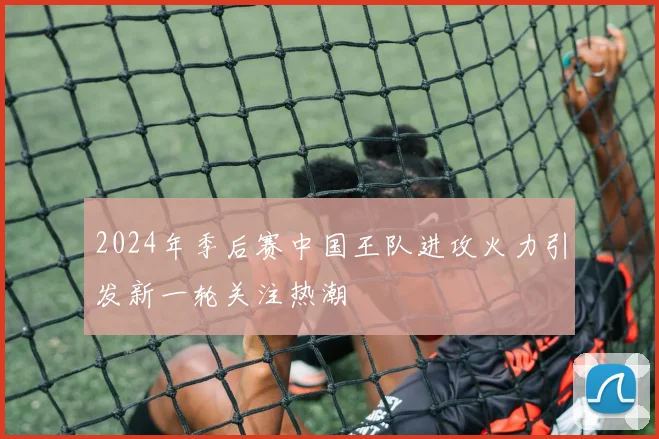 2024年季后赛中国王队进攻火力引发新一轮关注热潮