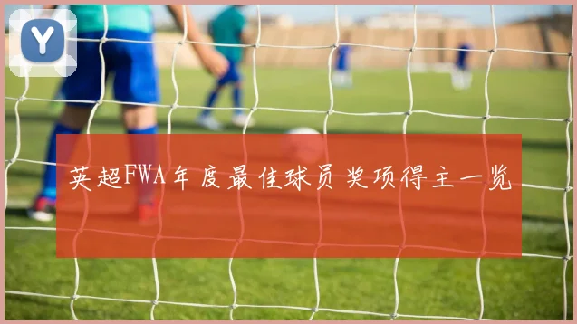 英超FWA年度最佳球员奖项得主一览