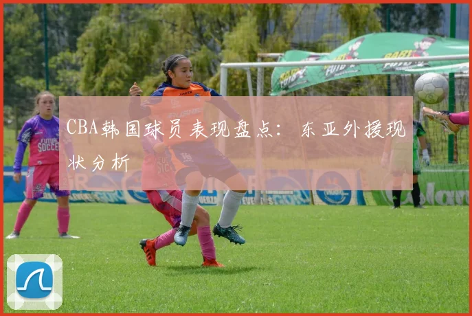 CBA韩国球员表现盘点：东亚外援现状分析