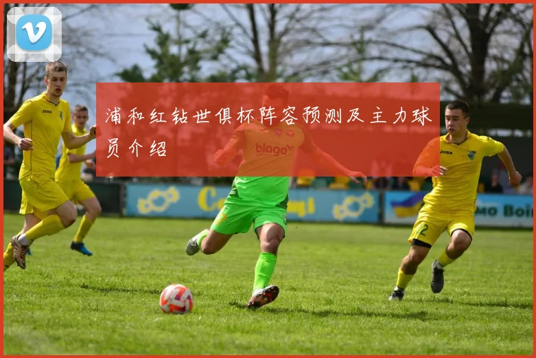 浦和红钻世俱杯阵容预测及主力球员介绍