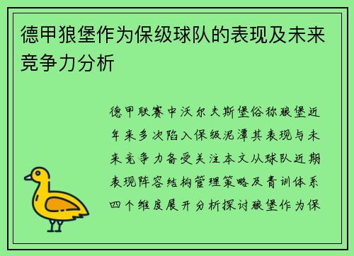 德甲狼堡作为保级球队的表现及未来竞争力分析