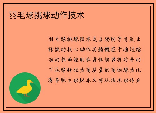 羽毛球挑球动作技术
